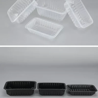 PP Transparent Tray PP Transparent Tray